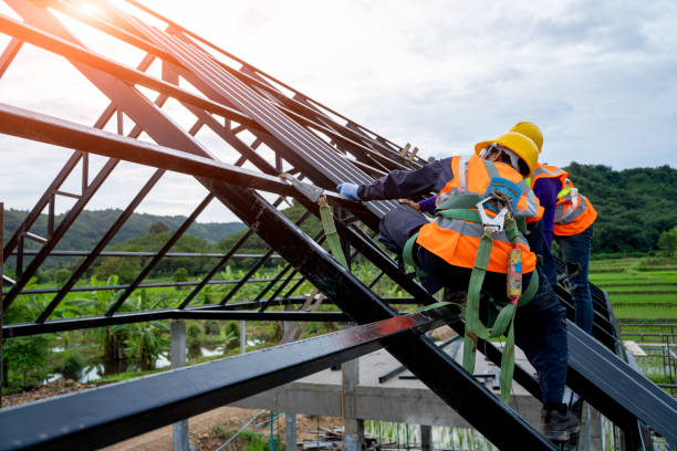 Best Roof Gutter Cleaning  in Bradley Gardens, NJ