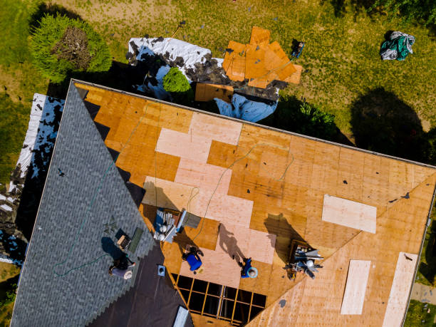 Best Local Roofing Companies  in Bradley Gardens, NJ