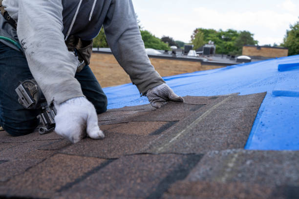 Best Gutter Installation and Roofing  in Bradley Gardens, NJ