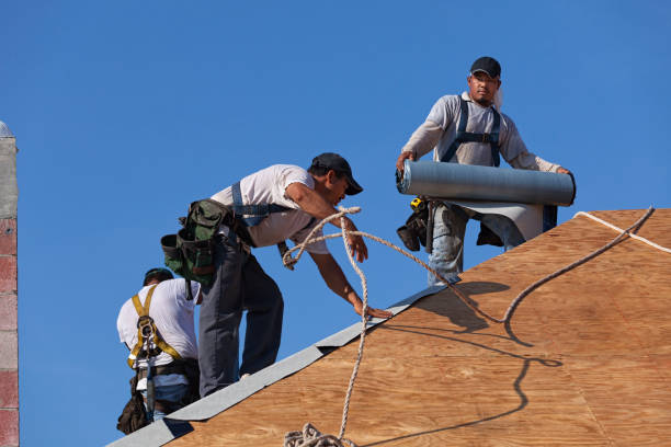 Best Flat Roof Repair Services  in Bradley Gardens, NJ